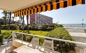 Palm-Beach